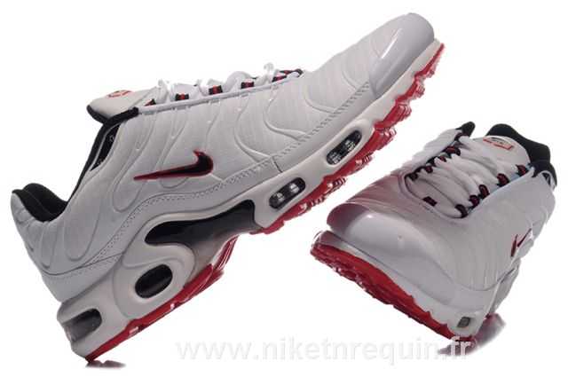tn requin nike white 2010 02.JPG